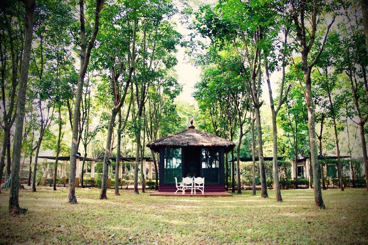 Hotel Singha Rubber Tree Ban Huai Maenam Noi Zewnętrze zdjęcie
