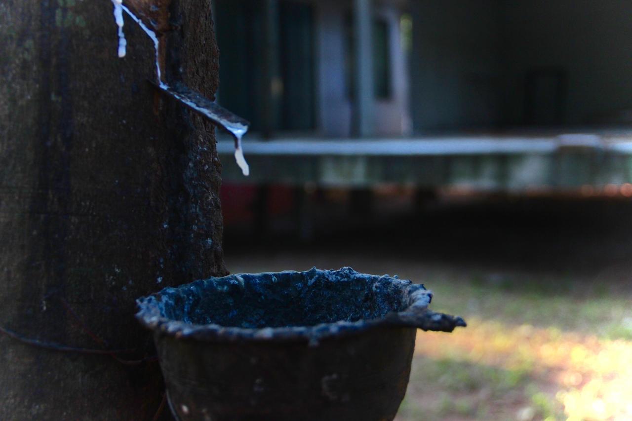 Hotel Singha Rubber Tree Ban Huai Maenam Noi Zewnętrze zdjęcie