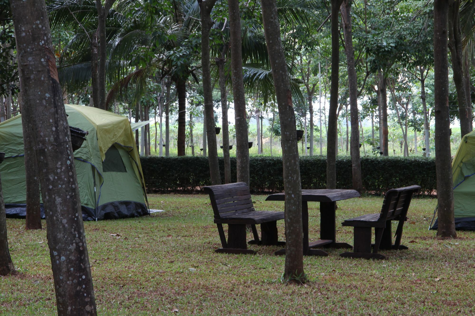 Hotel Singha Rubber Tree Ban Huai Maenam Noi Zewnętrze zdjęcie