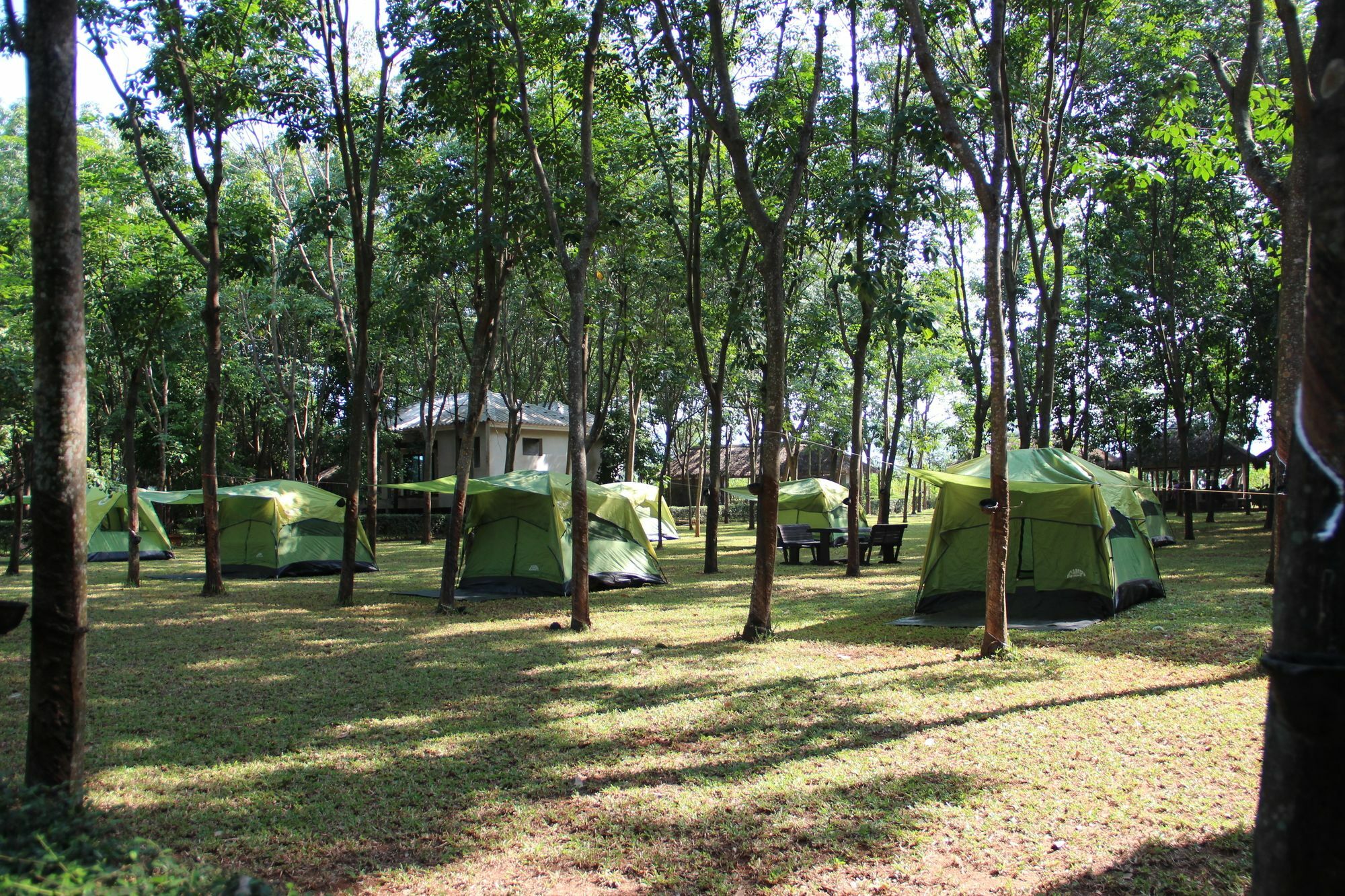 Hotel Singha Rubber Tree Ban Huai Maenam Noi Zewnętrze zdjęcie